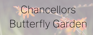Image for Chancellors Butterfly Garden